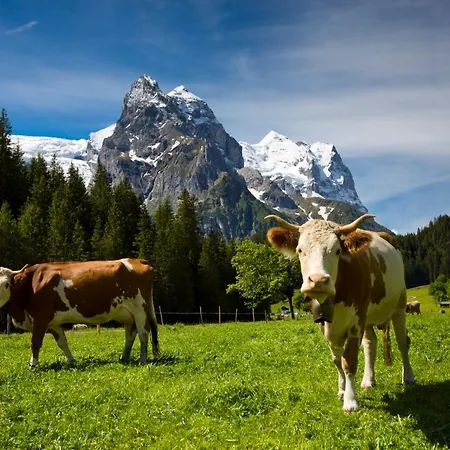 Zur Post ハスリベルク