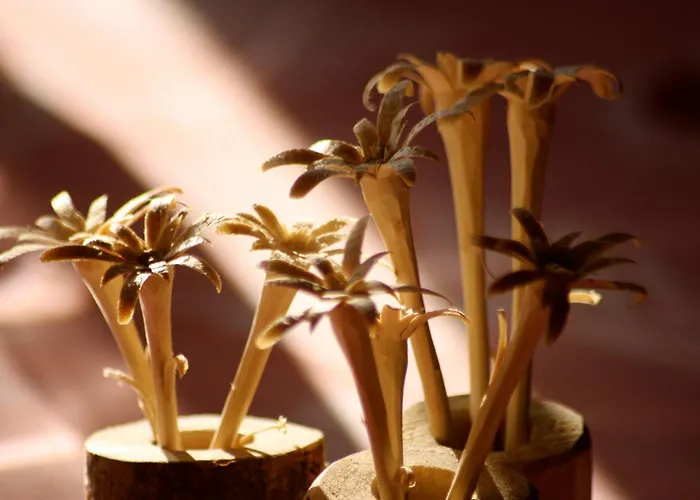 Zur Post הסליברג